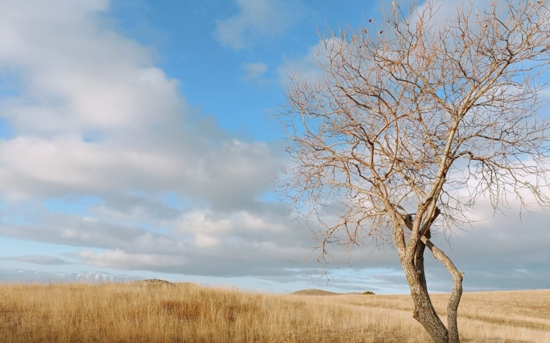 Gli stereotipi, sono per i pigri. Ai giovani, non offriamo neanche un sogno.